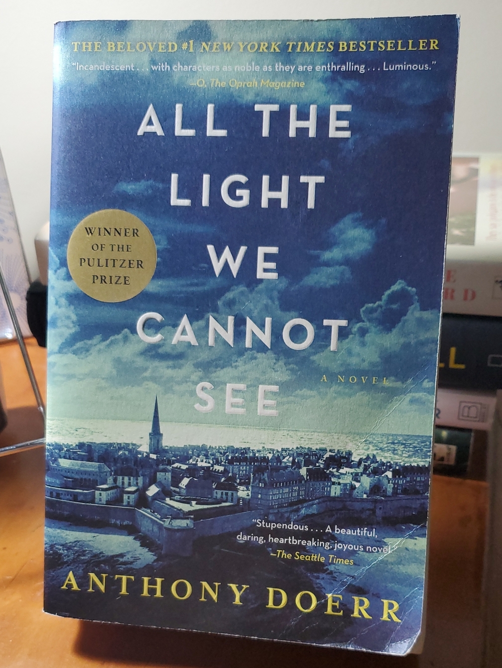 All the Light We Cannot See - Blue Paperback Novel by